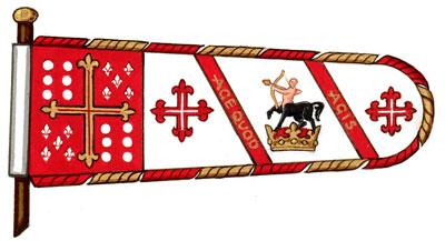Flag of Henrique Manuel Rodrigues De Almeida Pereira