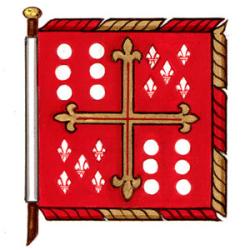 Flag of Henrique Manuel Rodrigues De Almeida Pereira