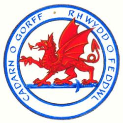 Badge of Gareth John Green