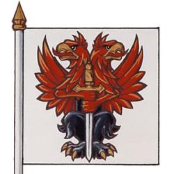 Flag of John Timothy Dunlap