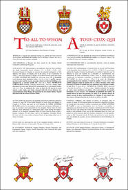 Letters patent granting heraldic emblems to Luigi Antonio Di Fazio
