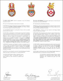 Letters patent granting heraldic emblems to Mathieu Jacques Dupont Letters patent granting heraldic emblems to Mathieu Jacques Dupont