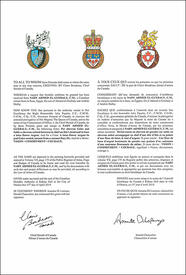 Letters patent granting heraldic emblems to Nady Ahmed el-Guebaly Letters patent granting heraldic emblems to Nady Ahmed el-Guebaly