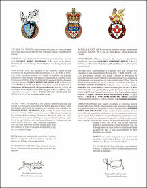 Letters patent granting heraldic emblems to George Robin Meldrum