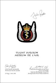 Lettres patentes approuvant les emblèmes héraldiques d'un médecin de l’air des Forces armées canadiennes