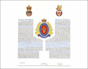 Lettres patentes concédant des emblèmes héraldiques à The Royal United Services Institute of Medicine Hat