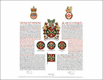Letters patent granting heraldic emblems to Mohamed Mehboob Elahi