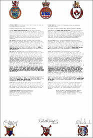 Lettres patentes concédant des emblèmes héraldiques à Derwin James Kah Wai Mak