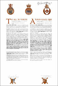 Letters patent granting heraldic emblems to Daniel Leonard Norris