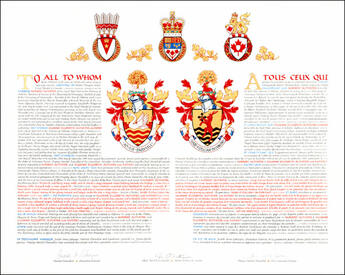 Letters patent granting heraldic emblems to Suzanne Elizabeth Altvater