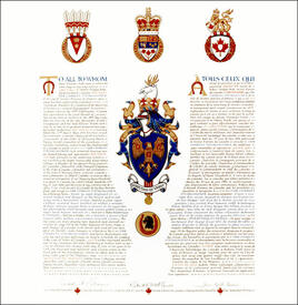 Letters patent granting heraldic emblems to Ian Charles Steingaszner Letters patent granting heraldic emblems to Ian Charles Steingaszner