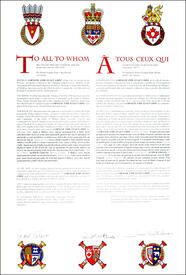 Lettres patentes concédant des emblèmes héraldiques à Corneliu Emil Eugen Chisu