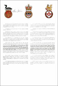 Vice Regal Warrant granting a Badge of Office to Niagara Herald Extraordinary Vice Regal Warrant granting a Badge of Office to Niagara Herald Extraordinary