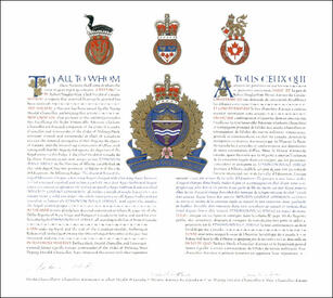 Letters patent granting heraldic emblems to the Edmonton Police Service Letters patent granting heraldic emblems to the Edmonton Police Service