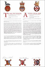 Letters patent granting heraldic emblems to Eric James Vincent Letters patent granting heraldic emblems to Eric James Vincent