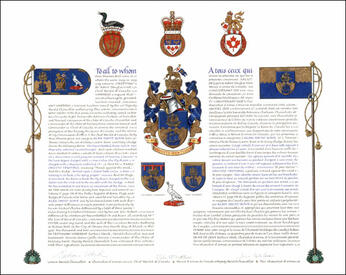 Letters patent granting heraldic emblems to Alan David Rowe