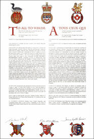 Letters patent granting heraldic emblems to Lynda Maureen Haverstock