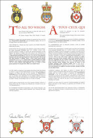 Lettres patentes concédant des emblèmes héraldiques à Francesco Maestri, Francesco