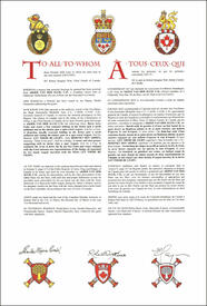 Letters patent granting heraldic emblems to Arjeh van der Sluis