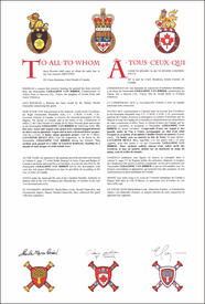 Lettres patentes concédant des emblèmes héraldiques à Geraldine Van Bibber Lettres patentes concédant des emblèmes héraldiques à Geraldine Van Bibber