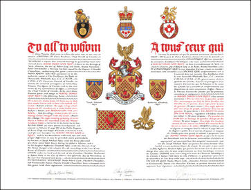 Letters patent granting heraldic emblems to Albert James Loof Riley