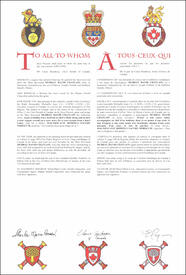 Lettres patentes concédant des emblèmes héraldiques à Murray David Chatlain Lettres patentes concédant des emblèmes héraldiques à Murray David Chatlain