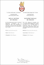 Lettres patentes confirmant le blasonnement de la bannière royale de France