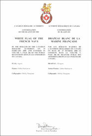 Lettres patentes confirmant le blasonnement du drapeau blanc de la marine française Lettres patentes confirmant le blasonnement du drapeau blanc de la marine française