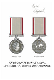 Letters patent registering the Operational Service Medal