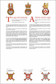 Letters patent granting Supporters to John Chew Mean Mah