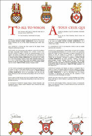 Letters patent granting heraldic emblems to Jason David Landry Robicheau Letters patent granting heraldic emblems to Jason David Landry Robicheau