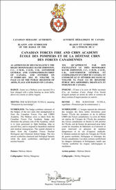Letters patent approving the Badge of the Canadian Forces Fire and CBRN Academy Letters patent approving the Badge of the Canadian Forces Fire and CBRN Academy