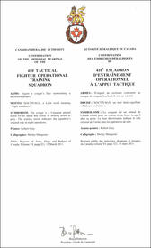 Letters patent confirming the Badge of the 410 Tactical Fighter Operational Training Squadron