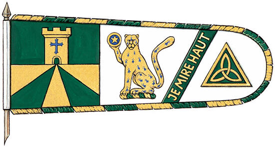 Drapeau de Daniel Mireault