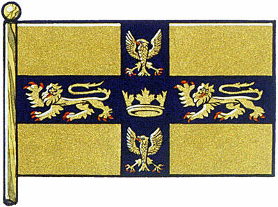 Drapeau de Bruce Maxwell Hicks Drapeau de Bruce Maxwell Hicks