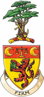 Armoiries de Vladimir Walter Shriro Armoiries de Vladimir Walter Shriro