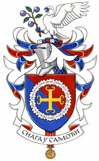 Arms of Misa Markovic