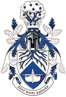 Arms of Braden Josiah Root-McCaig