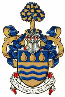 Arms of Daniel Marcel Bellemare