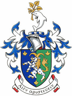 Arms of Stephen Richard Berryman