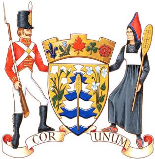 Arms of the Town of Grand Falls