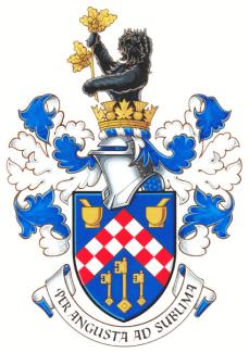 Arms of Derrick Darko Strizic
