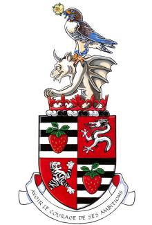 Arms of Jonathan Morissette