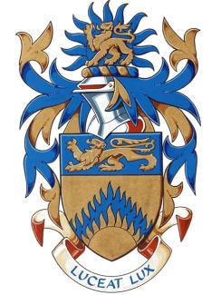 Arms of Steven William Mackison