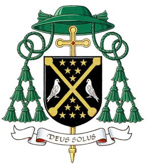 Arms of Stephen Andrew Hero