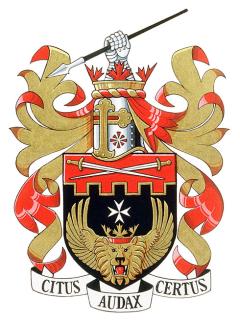 Arms of Alexander Moseanu