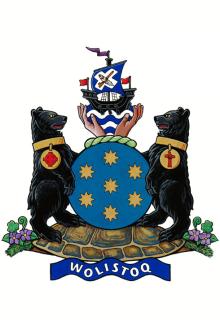Arms of Graydon Nicholas