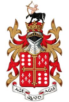Arms of Henrique Manuel Rodrigues De Almeida Pereira