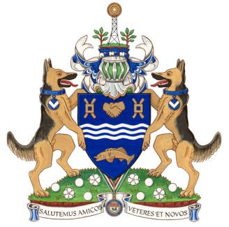Arms of Harry Franklin Lewis