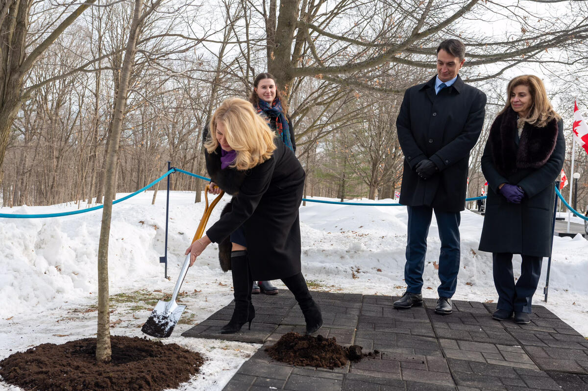 President Čaputová shovels dirt onto a newly planted tree